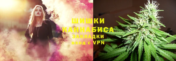 прущие грибы Алексеевка