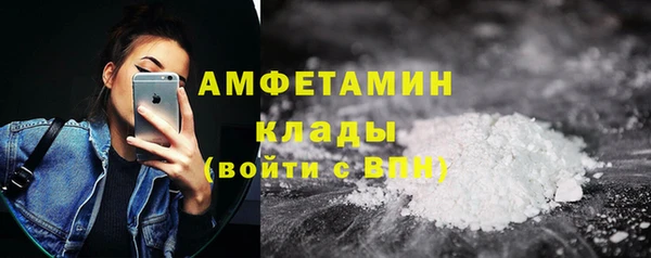стафф Алексин