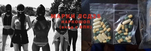 прущие грибы Алексеевка