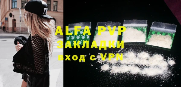 стафф Алексин