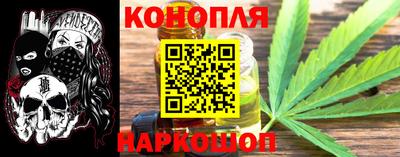гашик Кунгур