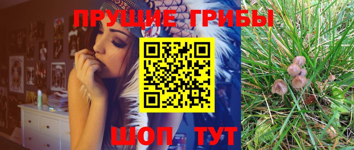 Галлюциногенные грибы Cubensis  Вход с VPN  Заволжье 